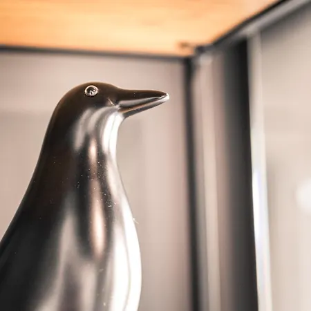 Einzimmer Wohlfuehlapartment Zwei Klimatisiert Friedrichshafen